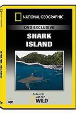 Watch National Geographic: Shark Island Nowvideo