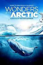 Watch Wonders of the Arctic 3D Nowvideo