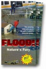 Watch Flood Nowvideo