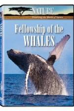 Watch Fellowship Of The Whales Nowvideo