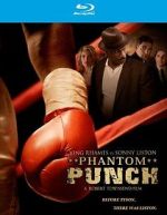 Watch Phantom Punch Nowvideo