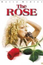 Watch The Rose Nowvideo