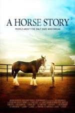 Watch A Horse Story Nowvideo