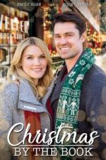 Watch Matchmaker Christmas Nowvideo