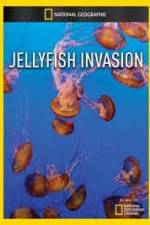 Watch National Geographic: Wild Jellyfish invasion Nowvideo
