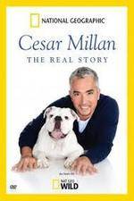 Watch Cesar Millan: The Real Story Nowvideo