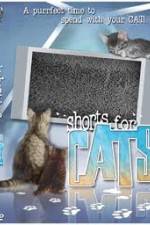 Watch Shorts for Cats Nowvideo