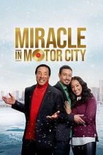 Watch Miracle in Motor City Nowvideo