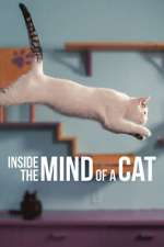 Watch Inside the Mind of a Cat Nowvideo