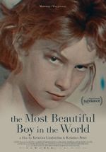 Watch The Most Beautiful Boy in the World Nowvideo