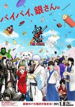 Watch Gintama: The Final Nowvideo