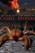 Watch Camel Spiders Nowvideo