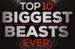 Watch Top 10 Biggest Beasts Ever Nowvideo