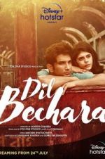 Watch Dil Bechara Nowvideo