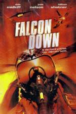 Watch Falcon Down Nowvideo