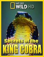 Watch Secrets of the King Cobra Nowvideo