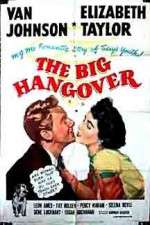Watch The Big Hangover Nowvideo