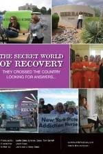 Watch The Secret World of Recovery Nowvideo