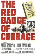 Watch The Red Badge of Courage Nowvideo