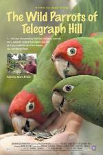 Watch The Wild Parrots of Telegraph Hill Nowvideo
