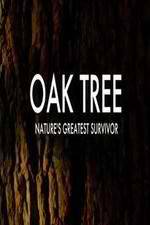 Watch Oak Tree Natures Greatest Survivor Nowvideo