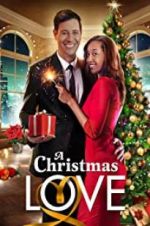 Watch A Christmas Love Nowvideo