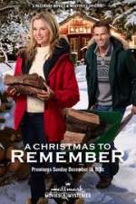 Watch A Christmas to Remember Nowvideo