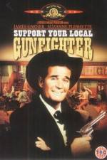 Watch Support Your Local Gunfighter Nowvideo