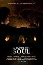 Watch Wandering Soul Nowvideo