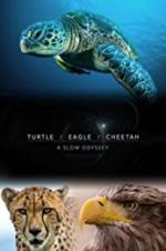 Watch Turtle, Eagle, Cheetah: A Slow Odyssey Nowvideo