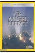Watch National Geographic Explorer - The Angel Effect Nowvideo