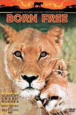 Watch Born Free Nowvideo