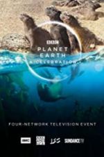 Watch Planet Earth: A Celebration Nowvideo
