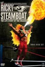 Watch Ricky Steamboat The Life Story of the Dragon Nowvideo