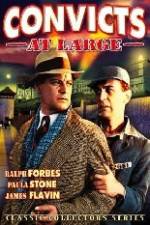 Watch Convicts at Large Nowvideo