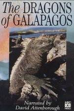 Watch The Dragons of Galapagos Nowvideo