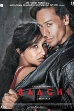 Watch Baaghi Nowvideo