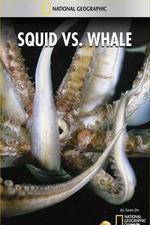 Watch National Geographic Wild - Squid Vs Whale Nowvideo