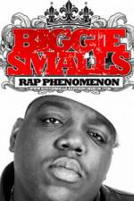 Watch Biggie Smalls Rap Phenomenon Nowvideo