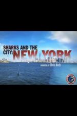 Watch Sharks and the City: New York Nowvideo