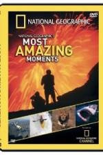 Watch National Geographic's Most Amazing Moments Nowvideo