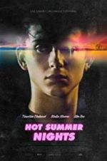 Watch Hot Summer Nights Nowvideo