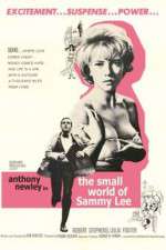 Watch The Small World of Sammy Lee Nowvideo