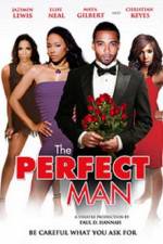 Watch The Perfect Man Nowvideo