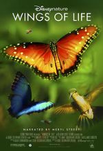 Watch Disneynature: Wings of Life Nowvideo