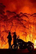 Watch Fire Fight Australia Nowvideo