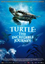 Watch Turtle: The Incredible Journey Nowvideo