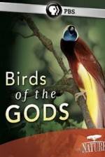 Watch Birds Of The Gods Nowvideo