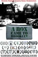 Watch A Box Came to Brooklyn Nowvideo