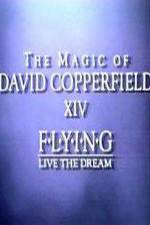 Watch The Magic of David Copperfield XIV Flying - Live the Dream Nowvideo